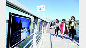 동촌유원지서 독도 사진전 감상