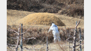 이재명 부모 묘소 돌 마지막 글자는 ‘氣’…경찰 감정결과