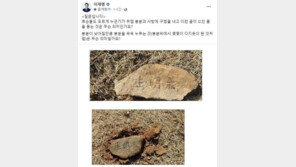 경찰 “이재명 부모 묘소에 박힌 돌 마지막 글자는 ‘氣’”