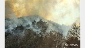화천·제천·포천 산불 확산…행안부 긴급 점검회의 소집