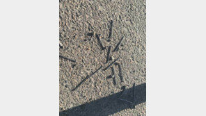 法, 못 700개 도로에 뿌린 화물연대 조합원 집행유예…이유는?