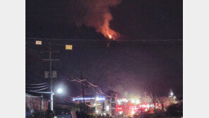 화천 산불 오후 10시 진화율 95%…소방, 야간완진 위한 진화작전 중