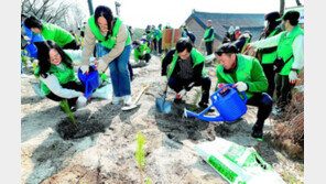 4년 만에 삼청각에서 열린 ‘나무심기 행사’ 