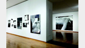 ‘금호영아티스트 1부’ 신예 3명 작품 선보여