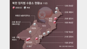 “北, 김일성 초상화 가리켰다며 임신부 공개처형… 생체실험도” 