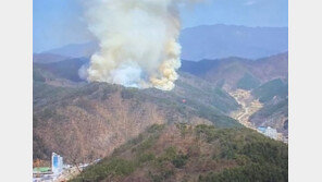 화천 산불 18시간 만에 진화…‘축구장 95개’ 면적 영향