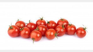 방울토마토 먹고 구토한건 ‘토마틴’ 때문…“쓴맛나면 섭취금지”