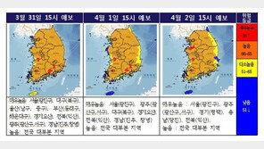 이번 주말 산불위험 매우 높아…강원은 ‘소각산불경보’