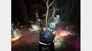 포천 산불 29만㎡ 태우고 20시간 만에 주불진화…담뱃불 실화자 검거