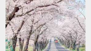 주말 낮 최고 27도 ‘완연한 봄’…전국 건조 ‘화재 조심’