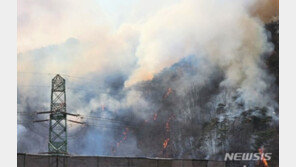 제천 봉황산 산불, 발화자 찾는다…담뱃불 실화 추정