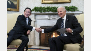 日, 美주도 ‘中반도체 규제’ 동참… 23개 품목 수출 통제