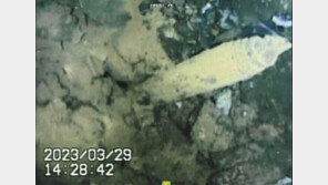 후쿠시마 원전 1호기 원자로 사진 공개…내부 손상 확인