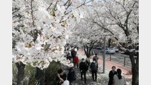 화·수요일 전국 비…금요일부터 다시 건조해져