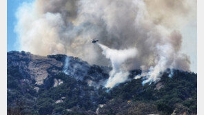 서대문구 “인왕산 화재 확산, 개미마을·홍제동 주민 대피해야”