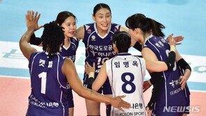 ‘기사회생’ 도로공사, 챔프전서 2연패 후 기적의 1승