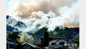 서울 도심 인왕산 불나 주민 긴급대피… 휴일 전국 34곳 산불 