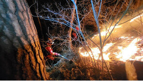 충북 옥천 군북면 산불 진화 20시간째…진화율 70%