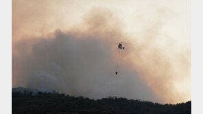 홍성·대전 산불 이틀째…헬기 투입해 진화 속도