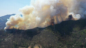 대전-금산 경계 산불 불길 잡아…잔불 작업 진행