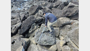 제주 해안가서 1t 갯바위 3개 불법 채취한 2명 검거