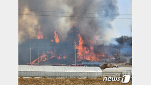 홍성 산불 원인 ‘벌목 인부 담뱃불’ 추정…보령은 소각자 검거
