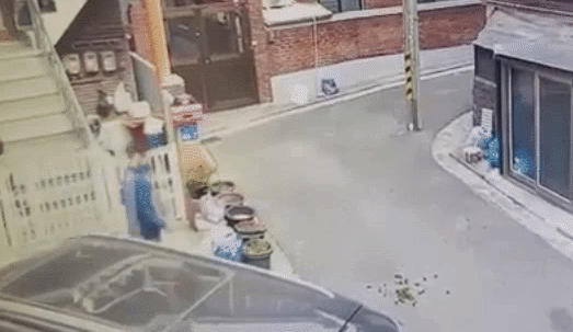 얼룩말 ‘세로’ 마주치자…뒷짐지고 돌아간 남성 정체는? (영상)