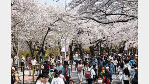 안전한 봄나들이 위해 ‘서울 실시간 도시 데이터’ 살피기