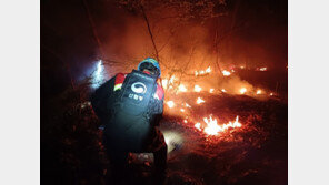 식목일 앞두고 전국 곳곳 산불…야간 확산방지 총력