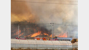 “불씨가 이산 저산으로”… 홍성·대전 산불 이틀째 진화 못해