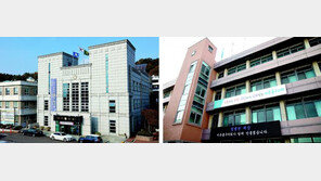 “일정 대부분이 관광지”… 인천 기초의회 ‘외유성 해외연수’ 논란 