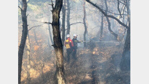 천안 목천읍서 산불 2시간만에 진화…헬기 1대·대원 54명 투입