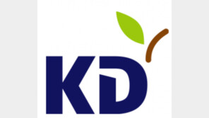 KD, 사업다각화 결실… 인도네시아 에너지사업 진출