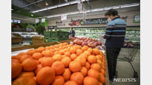 한은 “물가, 올해 중반까지 둔화…유가 불확실성 커”