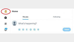 트위터 로고 파랑새→시바견 교체? 머스크 “파랑새는 옛날”