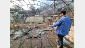 “자식처럼 키운 염소인데 속이 타들어갑니다”…화마 덮친 홍성군