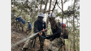 육군31사단, 함평·순천 산불 진화작업에 장병 170명 투입