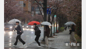 오랜 가뭄 속 단비