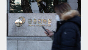 “文정부 금감원, ‘유사직위’ 간부 46명… 방만 운영” 