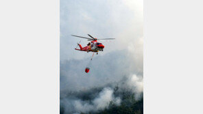 대형산불 4건, 첫 동시 발생… 여의도 면적 9.7배 불타 