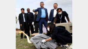 실사단 첫 일정, 을숙도서 큰고니 방생… 부산시 “자연과 공생 강조” 