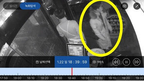 강서구 와인바 20만원 먹튀 커플…“전화받는 척 한 명씩 도주”