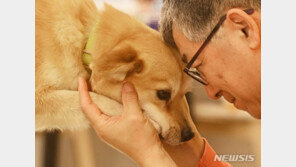 1500만 반려인 부담 줄듯…반려동물 진료비 부가세 면제 검토