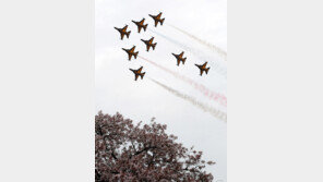 올 3월 역대 가장 따뜻 ‘벚꽃도 가장 빨리 펴’…강수일수는 최저