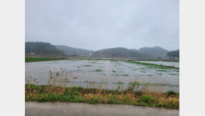 ‘2일 급수→ 5일 단수’ 완도에 119㎜ 단비…“며칠 더 내렸으면”