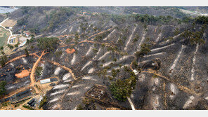 전국 동시다발적 산불에…식음료업계, 구호물품 지원 행렬