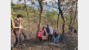 “인왕산 산불 살아날까 걱정했는데”…내리는 봄비에 주민들 “천만다행”