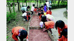 찾아가는 어린이 건강관리 서비스 