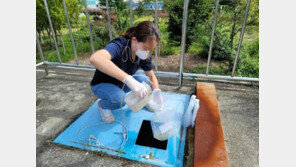 생활하수로 코로나 19등 감염병 잡는다…전국 64곳서 감시 시작 