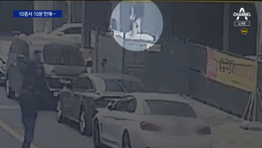 “밧줄로 이리 저리, 아주 타잔”…절도범 검거(영상)